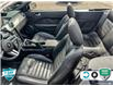 2008 Ford Mustang GT (Stk: 25G234A) in Tillsonburg - Image 20 of 24