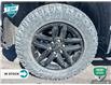 2022 Chevrolet Silverado 1500 LTD Custom Trail Boss (Stk: R304A) in Grimsby - Image 6 of 24