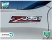 2022 Chevrolet Silverado 1500 LTD Custom Trail Boss (Stk: R304A) in Grimsby - Image 9 of 24
