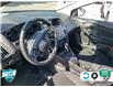 2015 Ford Focus SE (Stk: A250214X) in Hamilton - Image 10 of 20