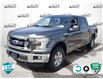 2016 Ford F-150 XLT (Stk: A240623) in Hamilton - Image 1 of 23