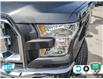 2016 Ford F-150 XLT (Stk: A240623) in Hamilton - Image 8 of 23