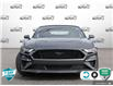 2020 Ford Mustang GT Premium (Stk: 803034X) in St. Catharines - Image 2 of 27