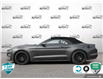 2020 Ford Mustang GT Premium (Stk: 803034X) in St. Catharines - Image 3 of 27