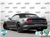 2020 Ford Mustang GT Premium (Stk: 803034X) in St. Catharines - Image 4 of 27