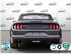 2020 Ford Mustang GT Premium (Stk: 803034X) in St. Catharines - Image 5 of 27