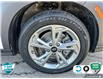 2023 Hyundai Kona 2.0L Preferred (Stk: P237527) in Grimsby - Image 6 of 25