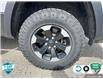 2019 RAM 1500 Rebel (Stk: 25C189B) in Tillsonburg - Image 6 of 23