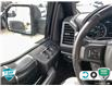 2018 Ford F-150 XLT (Stk: A250232) in Hamilton - Image 15 of 23