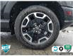 2023 Ford Bronco Sport Outer Banks (Stk: 1HL729) in Hamilton - Image 6 of 23