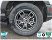 2022 Ford Bronco Sport Big Bend (Stk: A250090) in Hamilton - Image 6 of 9