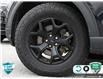 2022 Ford Explorer Timberline (Stk: 502396) in St. Catharines - Image 6 of 27