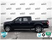 2020 Ford F-150 XLT (Stk: P206469) in Grimsby - Image 3 of 24