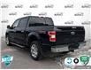2020 Ford F-150 XLT (Stk: P206469) in Grimsby - Image 4 of 24