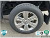 2020 Ford F-150 XLT (Stk: P206469) in Grimsby - Image 6 of 24