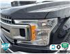 2020 Ford F-150 XLT (Stk: P206469) in Grimsby - Image 8 of 24