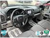 2020 Ford F-150 XLT (Stk: P206469) in Grimsby - Image 13 of 24
