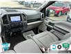 2020 Ford F-150 XLT (Stk: P206469) in Grimsby - Image 24 of 24