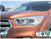 2017 Ford Escape Titanium (Stk: 99365AX) in St. Thomas - Image 10 of 27