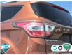 2017 Ford Escape Titanium (Stk: 99365AX) in St. Thomas - Image 12 of 27