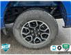 2022 Ford F-150 XLT (Stk: P7111) in Oakville - Image 6 of 25