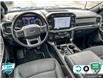 2022 Ford F-150 XLT (Stk: P7111) in Oakville - Image 24 of 25