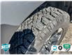 2019 RAM 1500 Rebel (Stk: 25C189B) in Tillsonburg - Image 7 of 24