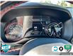 2019 RAM 1500 Rebel (Stk: 25C189B) in Tillsonburg - Image 14 of 24