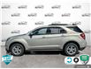 2016 Chevrolet Equinox LT (Stk: 25C293A) in Tillsonburg - Image 3 of 23