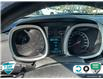 2016 Chevrolet Equinox LT (Stk: 25C293A) in Tillsonburg - Image 14 of 23