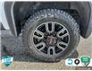 2021 GMC Sierra 2500HD AT4 (Stk: 25G217A) in Tillsonburg - Image 6 of 24