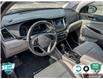 2017 Hyundai Tucson Base (Stk: R383A) in Grimsby - Image 11 of 23