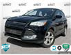 2016 Ford Escape SE (Stk: D5S117A) in Oakville - Image 1 of 24