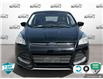 2016 Ford Escape SE (Stk: D5S117A) in Oakville - Image 2 of 24