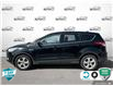 2016 Ford Escape SE (Stk: D5S117A) in Oakville - Image 3 of 24