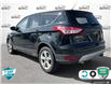 2016 Ford Escape SE (Stk: D5S117A) in Oakville - Image 4 of 24