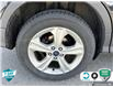 2016 Ford Escape SE (Stk: D5S117A) in Oakville - Image 6 of 24