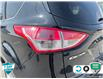 2016 Ford Escape SE (Stk: D5S117A) in Oakville - Image 11 of 24