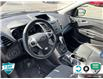 2016 Ford Escape SE (Stk: D5S117A) in Oakville - Image 12 of 24