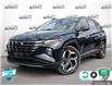2022 Hyundai Tucson Hybrid Luxury (Stk: 502409) in St. Catharines - Image 1 of 28