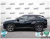 2022 Hyundai Tucson Hybrid Luxury (Stk: 502409) in St. Catharines - Image 3 of 28
