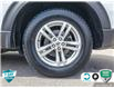 2023 Ford Explorer XLT (Stk: R0H2614) in Hamilton - Image 6 of 23
