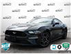 2023 Ford Mustang EcoBoost (Stk: 502430) in St. Catharines - Image 1 of 28