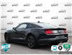 2023 Ford Mustang EcoBoost (Stk: 502430) in St. Catharines - Image 4 of 28