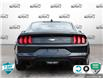 2023 Ford Mustang EcoBoost (Stk: 502430) in St. Catharines - Image 5 of 28