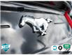 2023 Ford Mustang EcoBoost (Stk: 502430) in St. Catharines - Image 12 of 28