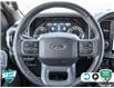 2023 Ford F-150 XLT (Stk: 502435) in St. Catharines - Image 14 of 25