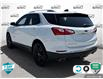 2020 Chevrolet Equinox LT (Stk: 25C317A) in Tillsonburg - Image 4 of 24