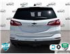 2020 Chevrolet Equinox LT (Stk: 25C317A) in Tillsonburg - Image 5 of 24