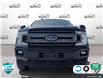 2019 Ford F-150 XLT (Stk: FH159A) in Sault Ste. Marie - Image 2 of 24